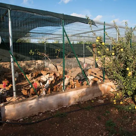 Trullo 